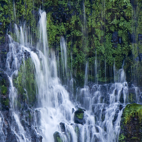 california water waterfall spring nikon burneyfalls d90 burneycreek