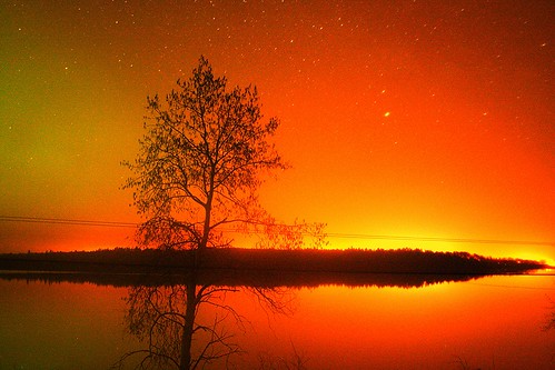 lake ontario canada tree silhouette night darkness auroraborealis siouxlookout