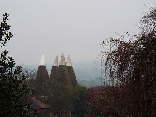 mistyfebruaryday oasthouses redwings woodpigeon birds countryside mist rivermedway maidstone kent outdoors