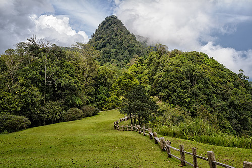 fence tree grass green cloud malaysia sarawak borneo kuching padawan visit highlands resort plateau d7001835g hill mountain