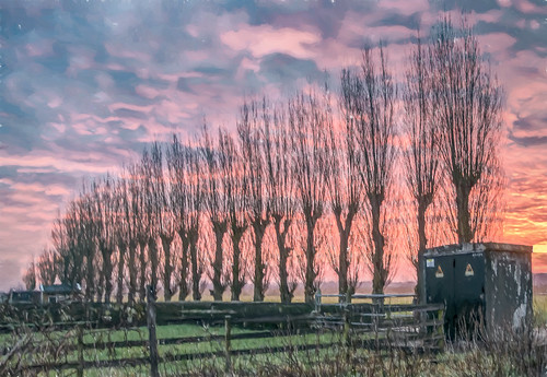 clouds fence grass hss paintingeffect sliderssunday sundawn sunrise trees utilitybuilding nederlandvandaag