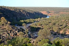 Kalbarri  N P - Murchison River Gorge from Ross Graham Lookout