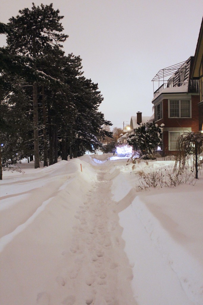 snowy lane