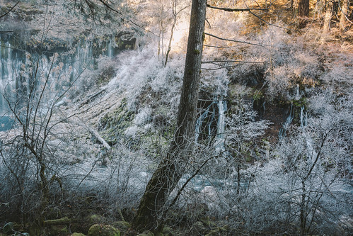 cold burneycanyonfalls california frost waterfall tree nature scenery canon shade mcarthurburneyfallmemorialstatepark water canoneos5dmarkiii canonef2470mmf28lusm johnwestrock