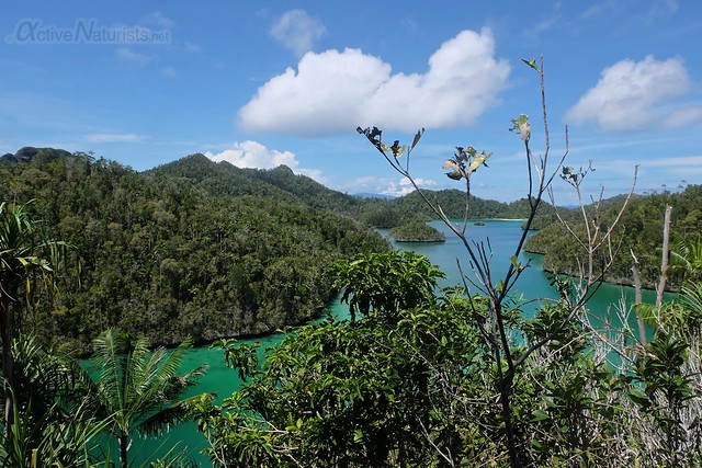 islands view 0008 Raja Ampat, Papua, Indonesia