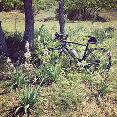 That-s a pretty nice ride. #elemnt #wilier #luberon #velo #Cycling - Photo of Ginasservis