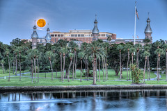 Supermoon Over University of Tampa