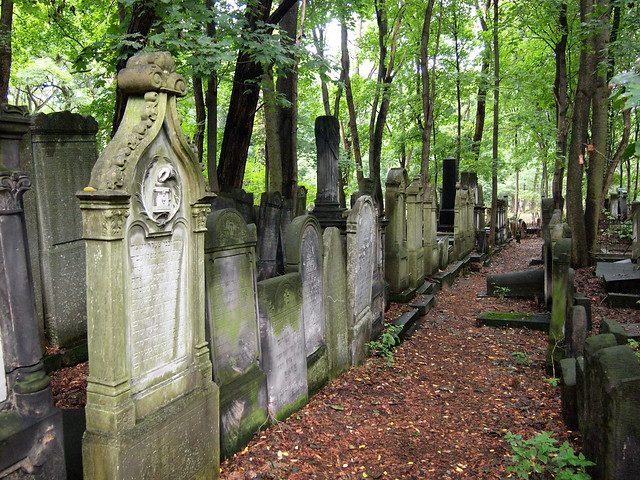 Jewish Cemetery, Warsaw