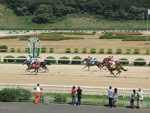 佐賀競馬場　Saga Racecourse