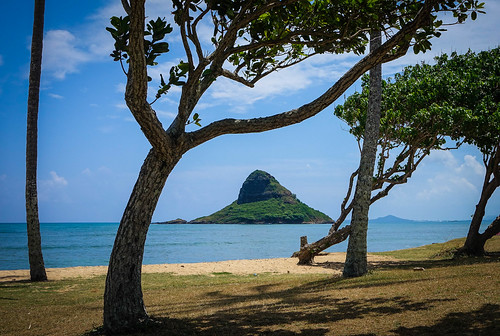 beach chinamanshat hawaii island oahu ocean pacific shore trees fv10