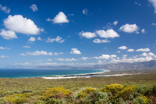 sea hermanus clouds southafrica day whales gettyimages fynbos westerncape walkerbay diekelders grootbos greaterhermanus pwpartlycloudy