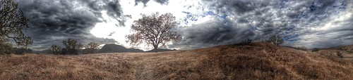 california trees panorama landscape socal iphone agoura agourahills paramountranch