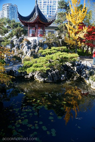 Dr. Sun-Yat Sen Classical Chinese Garden