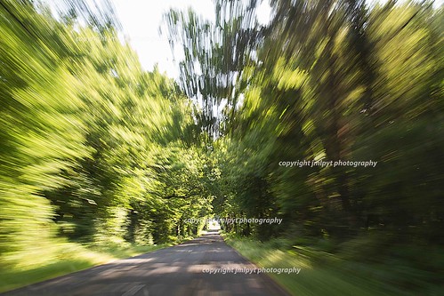road travel blue france tree speed canon landscape asphalt paysage arbre bitume vitesse cholet