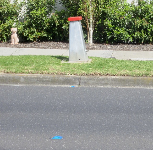 Fire hydrant, and cats eye on road indicating its presence