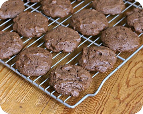 Chocolate Sour Cream Cookies