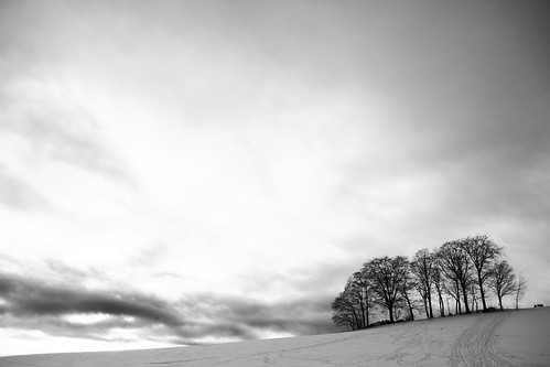 schnee trees winter sky bw snow clouds landscape himmel wolken schwarzweiss kalt landschaft bäume schwarzwald blackforest dramatisch 2013 ungemütlich jomaot