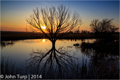 sunset reflection tree pond marshes isleofsheppey elmley platinumheartaward