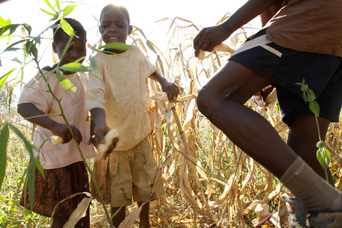 africa people plants village ef1635mmf28lusm malawi moya maize lilongwe canoneos7d