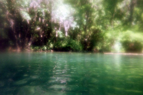 camera trees summer green film nature water beautiful river landscape photography photo cool interesting pretty florida springs disposable rainbowriver rainbowsprings