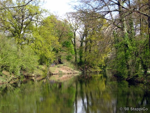 park flora natur schloss spiegelung schlosspark mönchengladbach niederrhein spiegelungen schlossrheydt