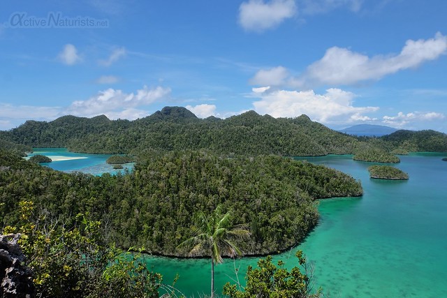islands view 0011 Raja Ampat, Papua, Indonesia