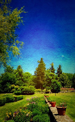 summer sky nature garden landscape day newhampshire bluesky clear pastoral iphone thefells iphoneography uploaded:by=flickrmobile flickriosapp:filter=nofilter
