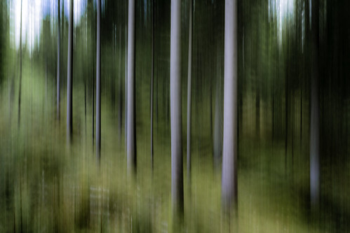 trees abstract forest göteborg landscape photography photo woods europe photographer image sweden gothenburg may fav20 photograph f22 100 sverige 24mm scandinavia panning fineartphotography goteborg kungsbacka halland tiltshift architecturalphotography västragötaland commercialphotography fav10 2013 architecturephotography 05sec tse24mmf35l houstonphotographer eos5dmarkiii mabrycampbell may272013 201305270h6a2445