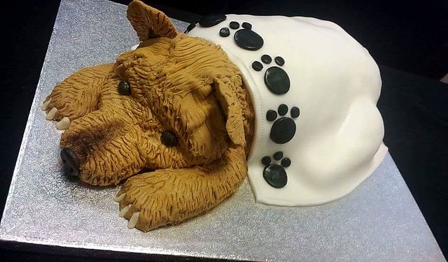 Cute Dog Cake by Alex Cole