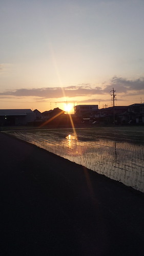 sunset japan smartphone