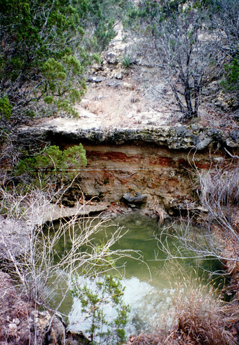 1997 texas texashillcountry austin gully pool ranch haretexas hare joedavidross