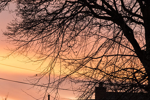 sunset tree silhouette sigma telford 18125mm horsehay