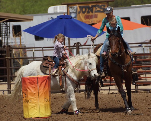 arizona horse woman sport female race cowboy all sony country barrel arena rodeo cowgirl athlete equine wickenburg 50500mm views50 views100 f4563 slta77v