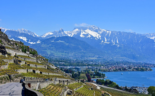 chardonne vaud suisse corniche riviera vevey montreux montagnes dentdejaman rochersdenaye vignes route léman lac