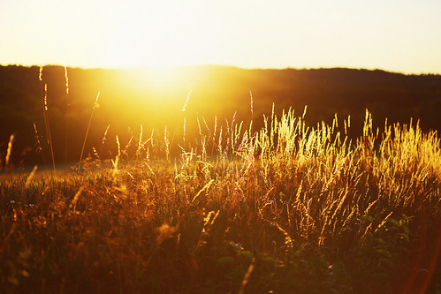 sunset summer nature field sweden bokeh july 85mm roadtrip sverige goldenhour kesä herrgård 2013 canonef85mmf18usm canoneos5dmarkiii 5d3 tokeryds