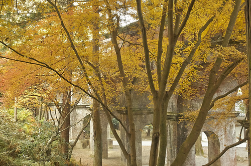 【写真】2013 紅葉 : 南禅寺/2021-11-13/IMGP4546