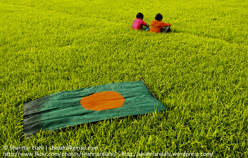 colors flag bangladesh