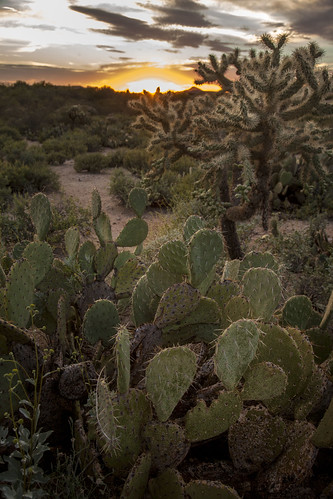 arizona places tucson sunset desert clouds