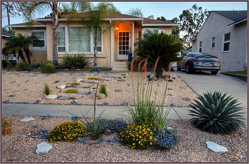 desertlandscape cactus house hdr rocks flowers lights sigma24105