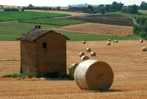 italy landscapes piemonte mio monferrato casorzo monferratopaessaggio