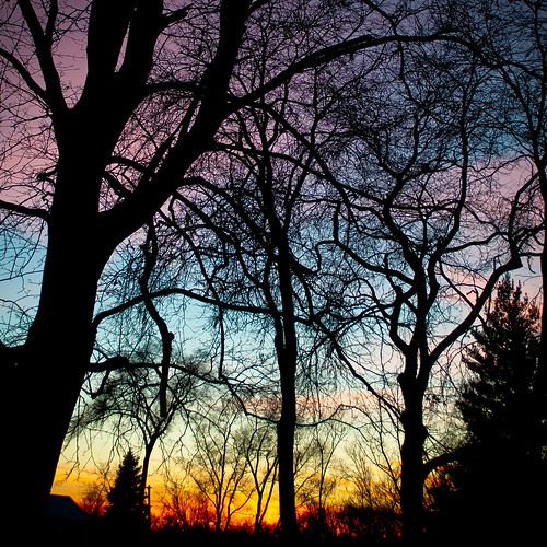 trees winter sunset sky silhouette forest square woods nikon branches d5000 noahbw