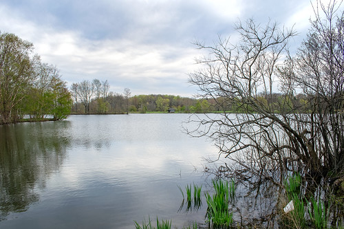 corning lake water spring green tree house shed clouds overcast trees nikon d3300 reflections landscape geauga ohio cleveland arboretum holden earlyspring