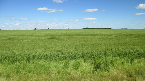 oklahoma ok landscapes delawarecounty wheat greatplains northamerica unitedstates us