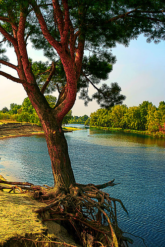 park wood travel blue trees summer sky brown holiday reflection tree green tourism nature wet beautiful grass creek river landscape leaf high scenery stream europe day view natural bright outdoor background young scenic peaceful sunny ukraine calm fresh edge environment greenery lush tranquil topaz summercottage oseschyna kyivskaoblast oseshchyna