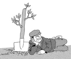Synonym: slowpoke 

The man planting our tree, was such a laggard, that he fell asleep on the job.
