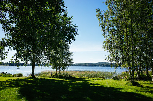 lake finland landscape gr birch ricohgr fujiprovia100f vscofilm