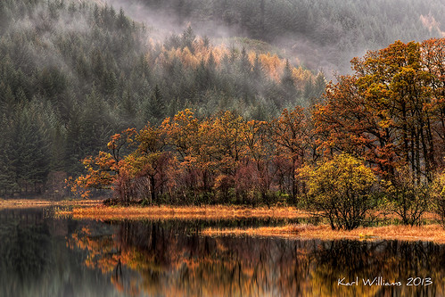 autumn trees forest landscape scotland morninglight shoreline grasses trossachs hdr lochchon zenfolio mistandfog
