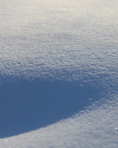 winter shadow white snow dof sparkle
