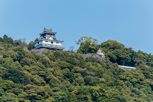 castle japan day sony clear a7 iwakuni 山口県 yamaguchiprefecture 岩国市