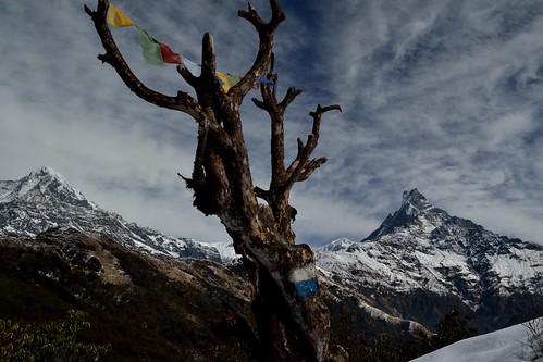 nepal trek geotagged mardi himal npl geo:dir=165 pashchimanchal mardihimaltrek geo:lat=284108516666667 geo:lon=838564233333333